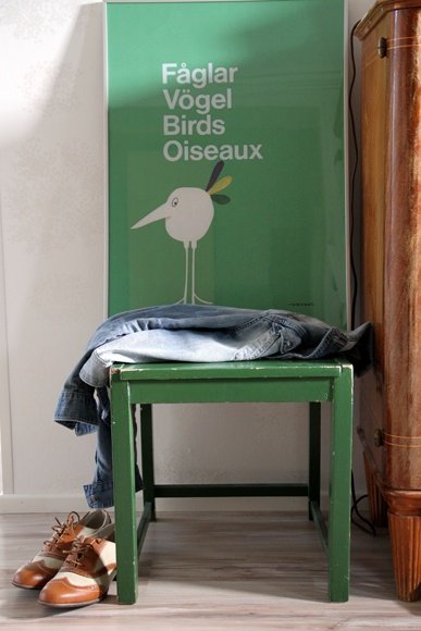 Fåglar, Vögel, Birds, Oiseaux - the bird collection